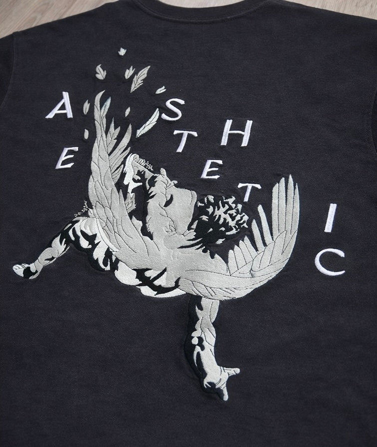 Aesthetics Icarus Pumpcover